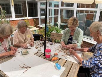 Seed collecting