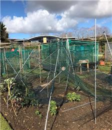 The North wind did blow at up the Allotment...