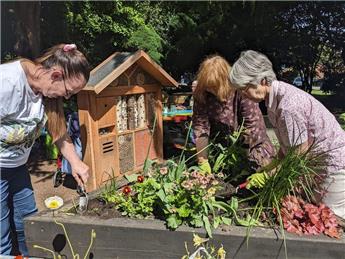 Busy Gardening in the Town Park