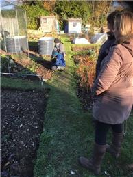 It's in with the garlic and onions  up at our allotments